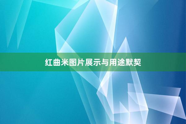 红曲米图片展示与用途默契